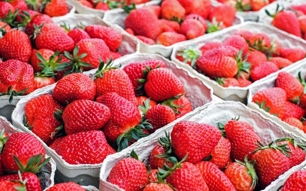 Hortifruti lidera compras online no primeiro semestre de 2022